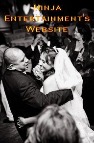 Enter Ninja Entertainment's Website